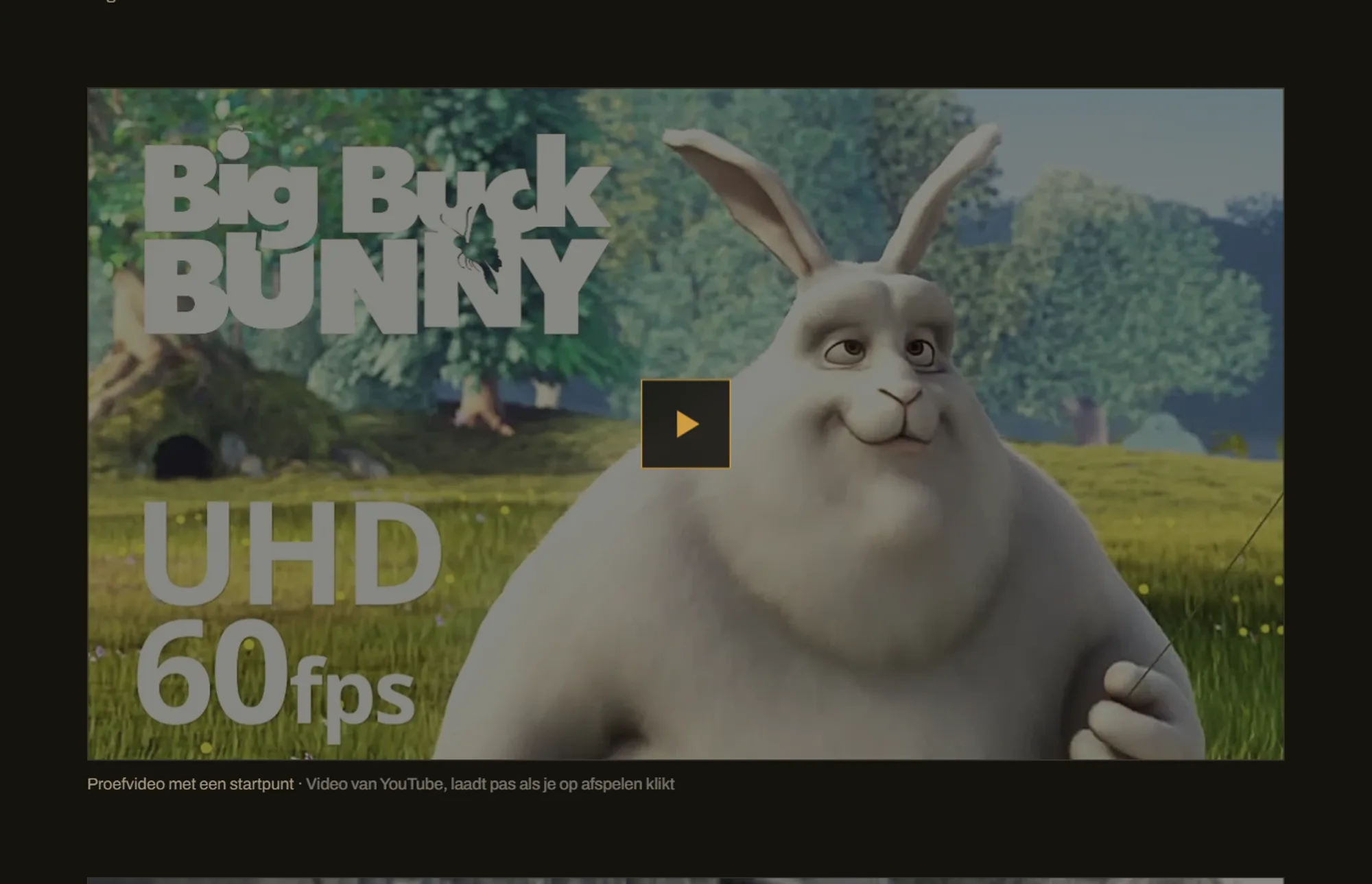Een YouTube-video op een blogpagina